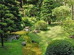 jardin